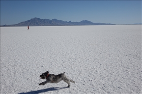 Bonneville Salt Flats